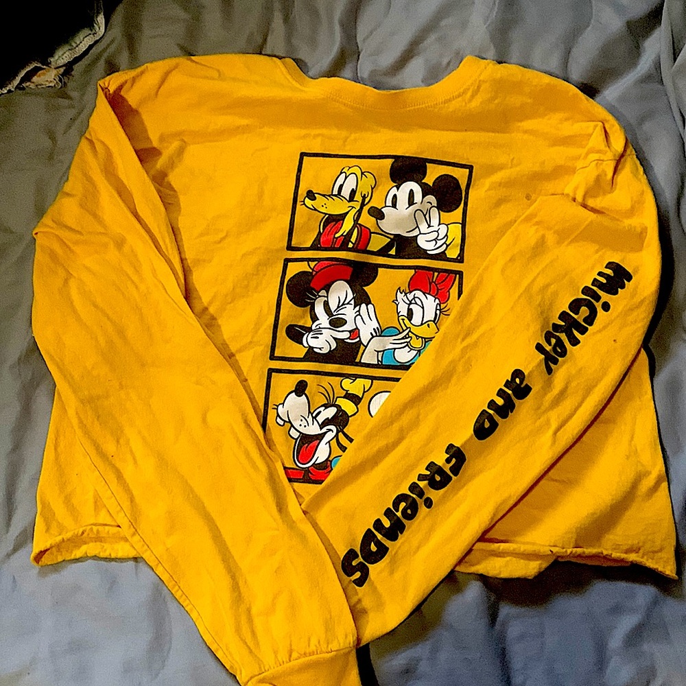 Mickey and friends crop top